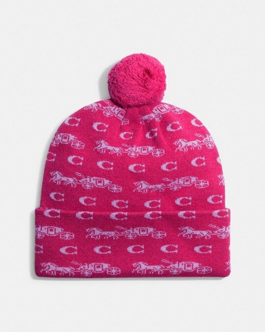 BOLD HORSE AND CARRIAGE PRINT BEANIE